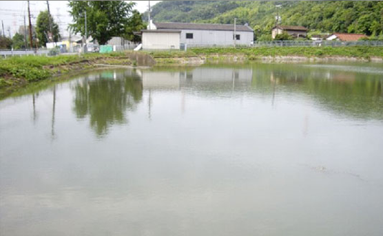 大阪府島本町「御所が池」